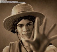 One Piece - Monkey D. Luffy, Bandai Spirits S.H.Figuarts Action Figure