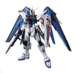 GUNDAM SEED 5 FREEDOM GUNDAM RG MDL KIT
