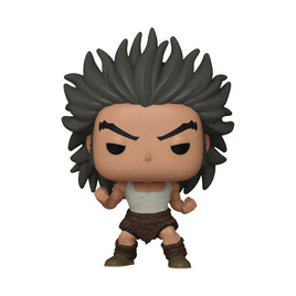 Funko Pop! Animation: Hunterxhunter - Uvogin